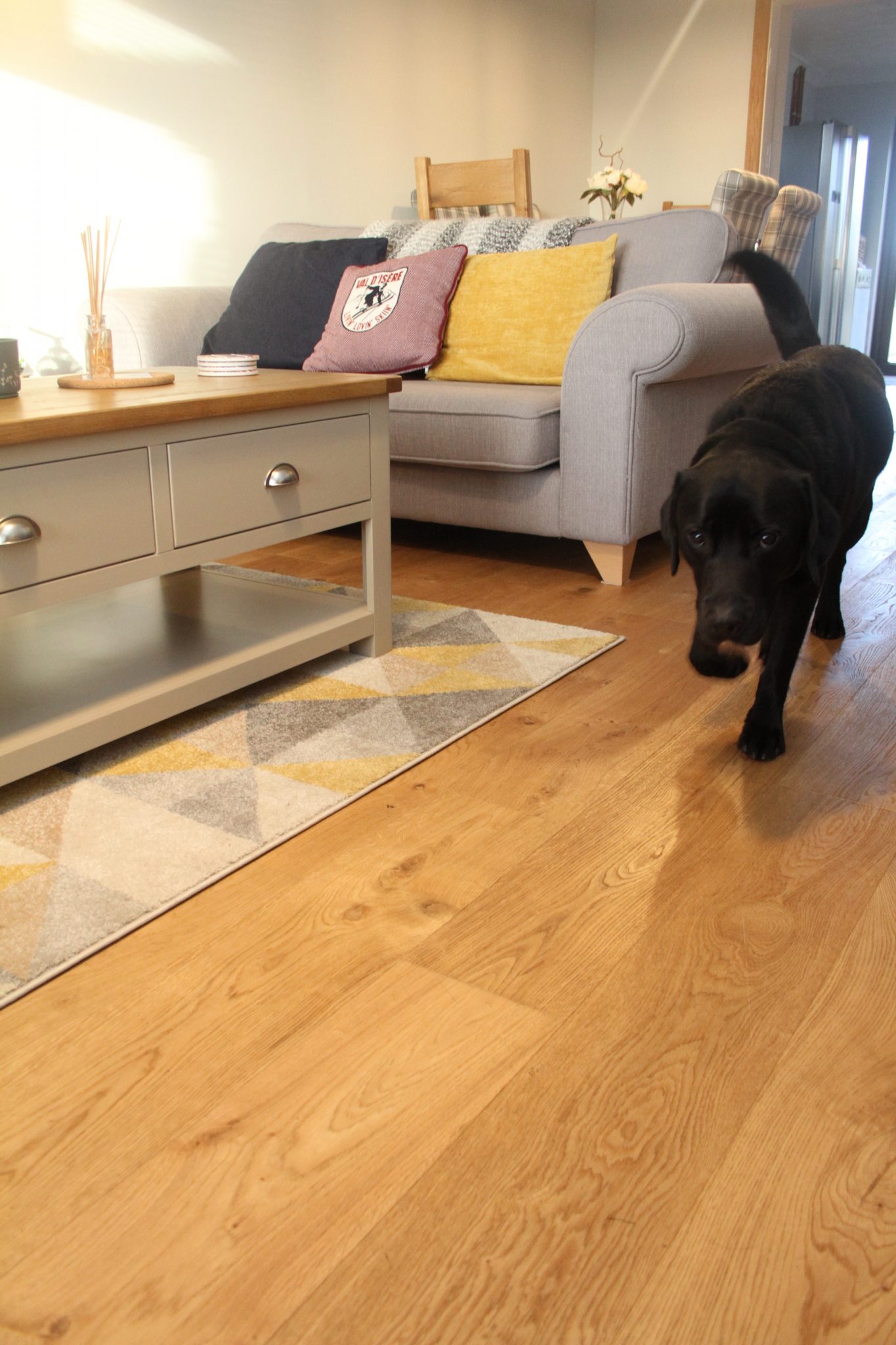 Brushed & Natural Oiled Oak Floor with dog
