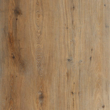 Sandy Oak Free Sample
